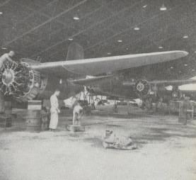 Makeshift covered jungle hanger